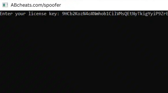 HWID Spoofer Technical Overview